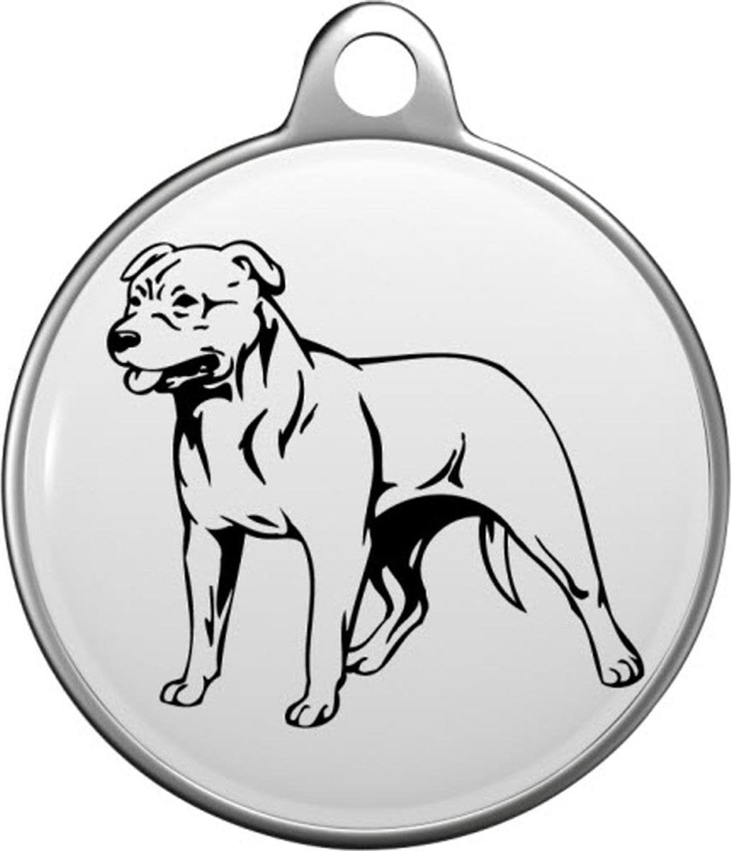 American Pit Bull  Tommy Tag A018