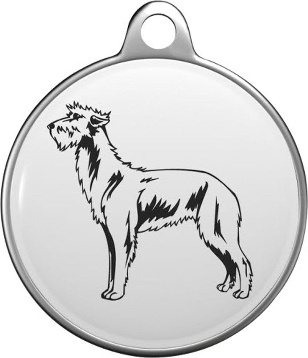 Deerhound Tommy Tag S015
