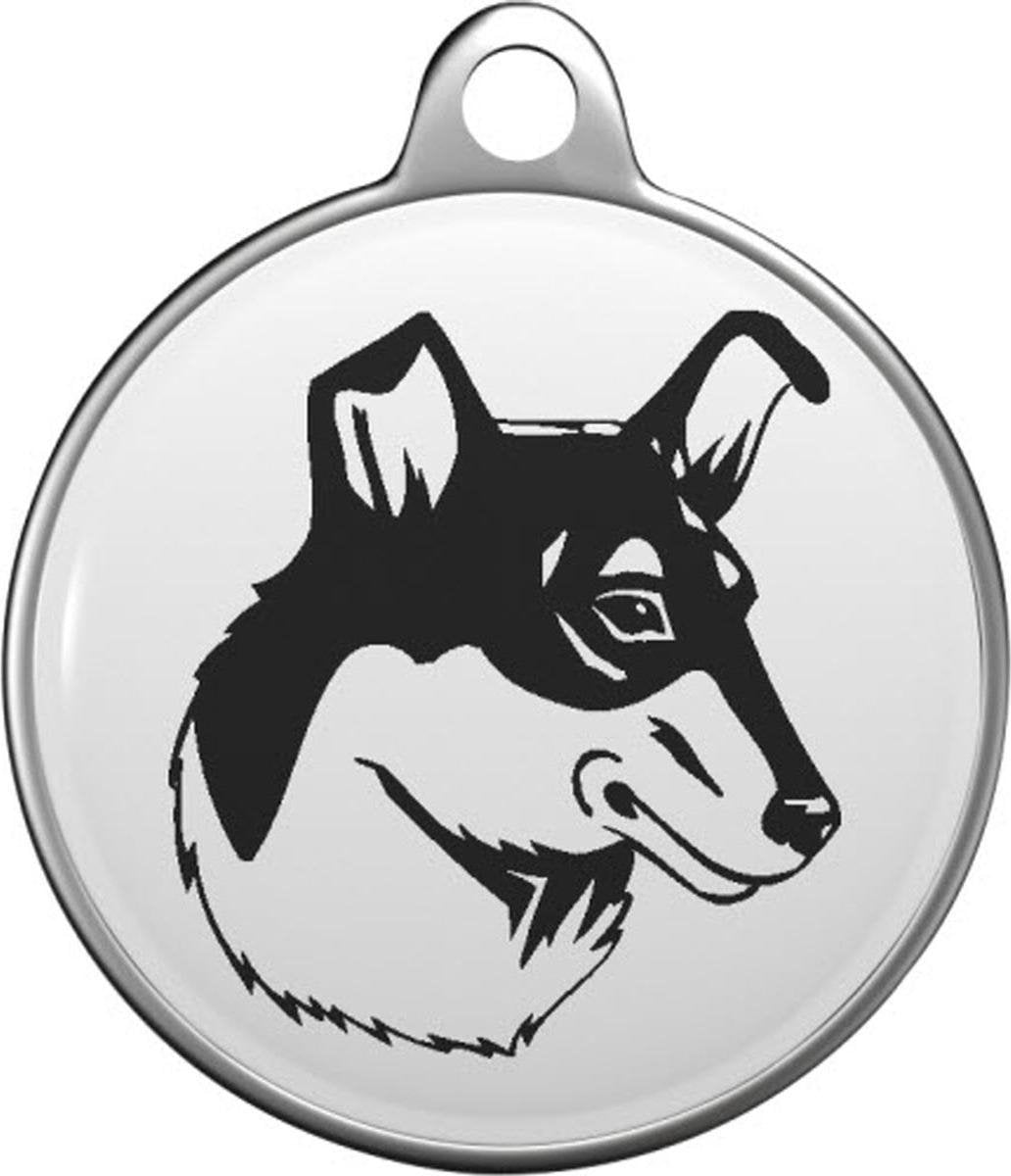 Collie Smooth Tommy Tag C032