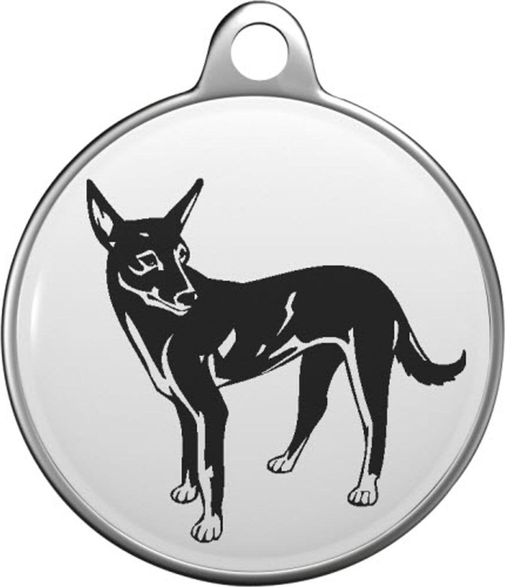 Taiwandog Tommy Tag F007