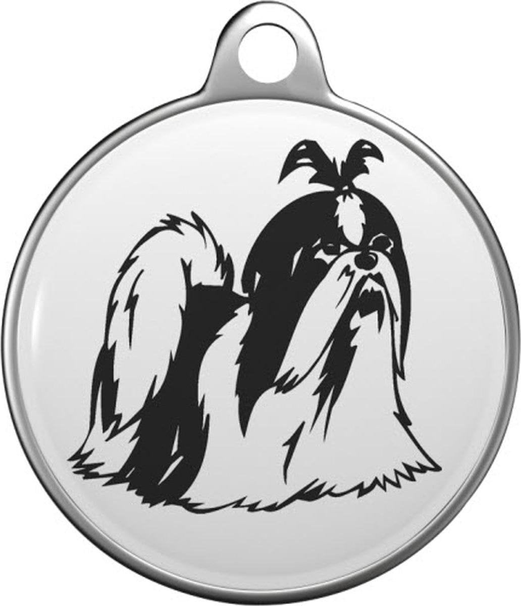 Shih Tzu Tommy Tag S025