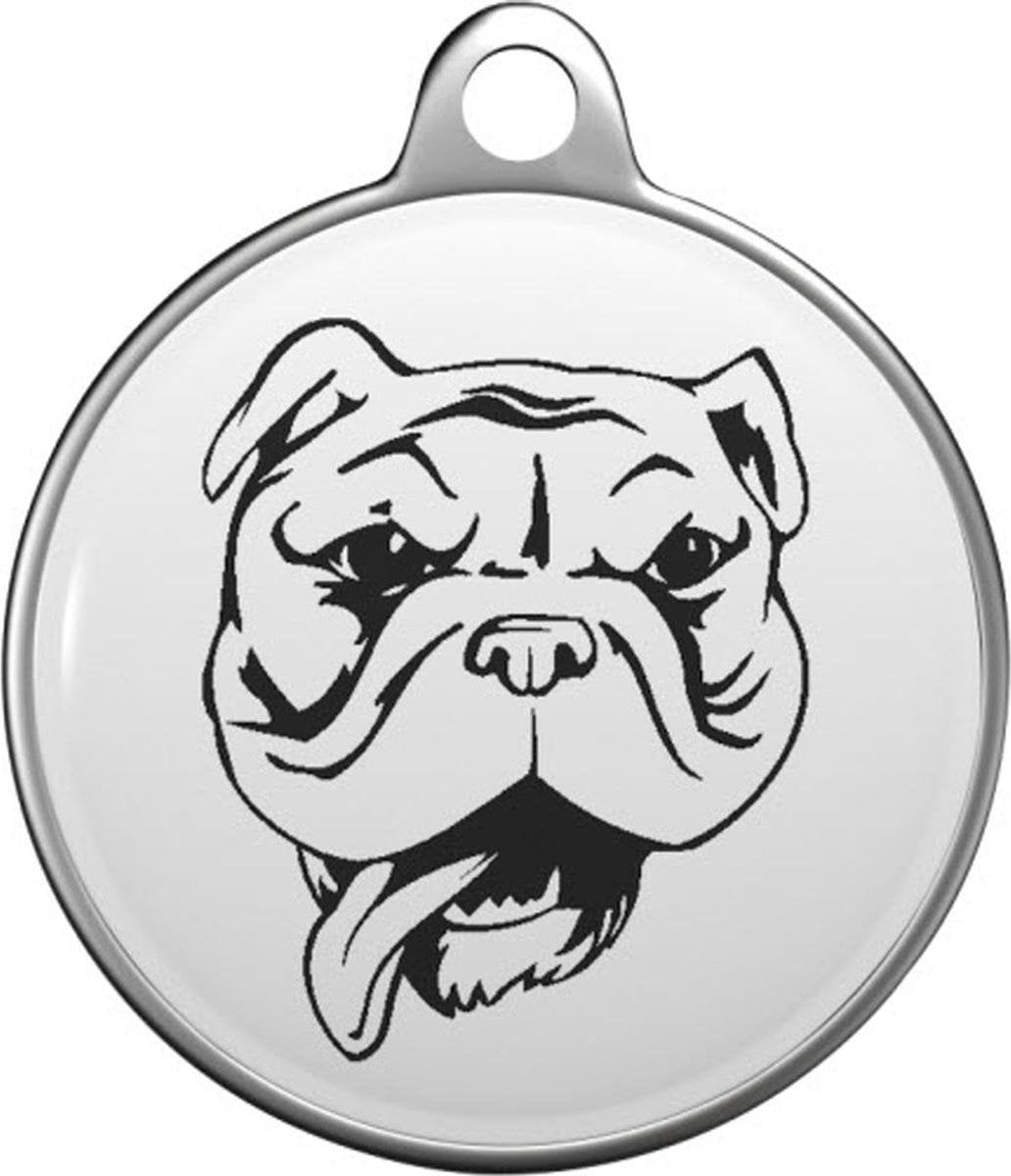 Bulldog Tommy Tag B062