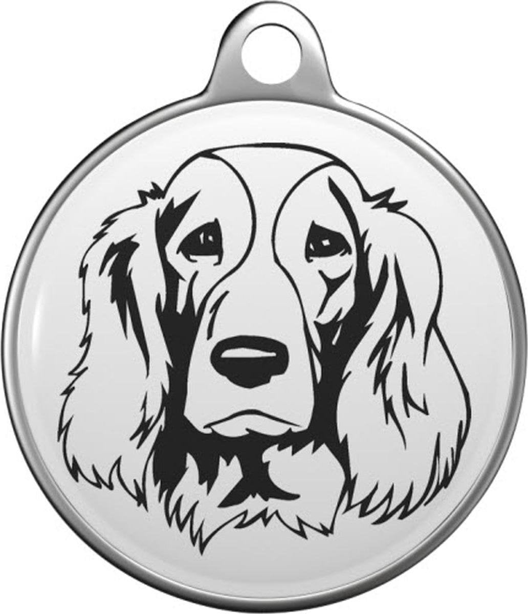 Welsh Springer Spaniel Tommy Tag W005