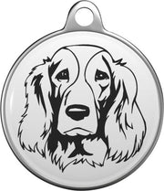 Welsh Springer Spaniel Tommy Tag W005