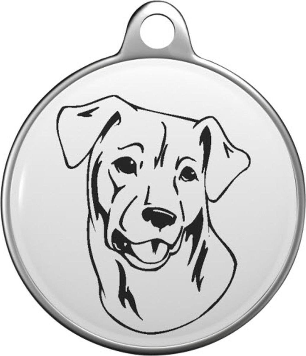 Chesapeake Bay Retriever Tommy Tag C018