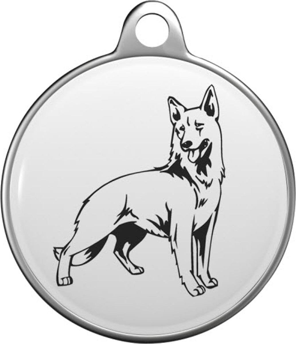 Witte Herder Tommy Tag W012