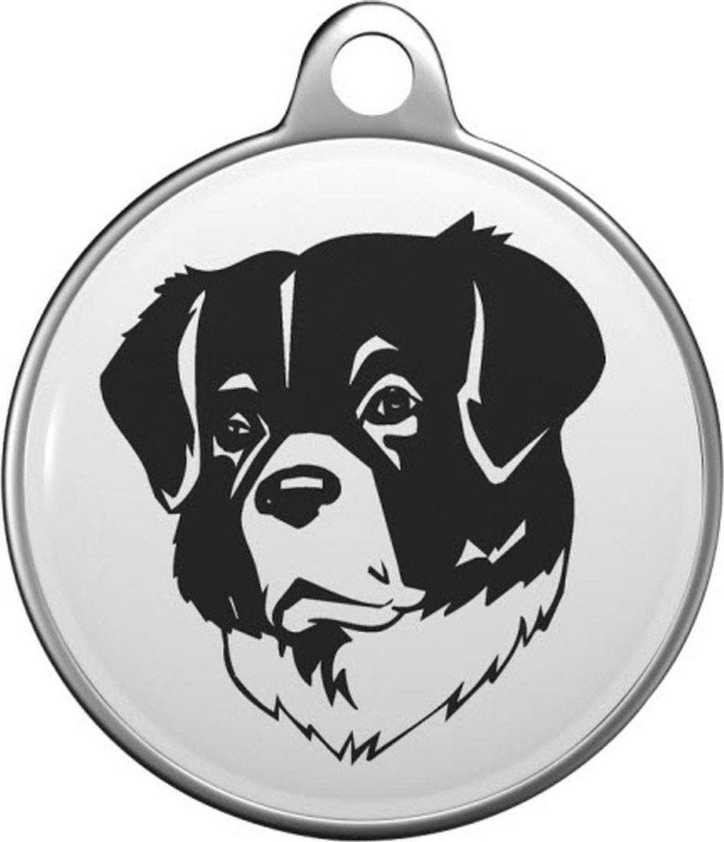 Wetterhoun Tommy Tag W010