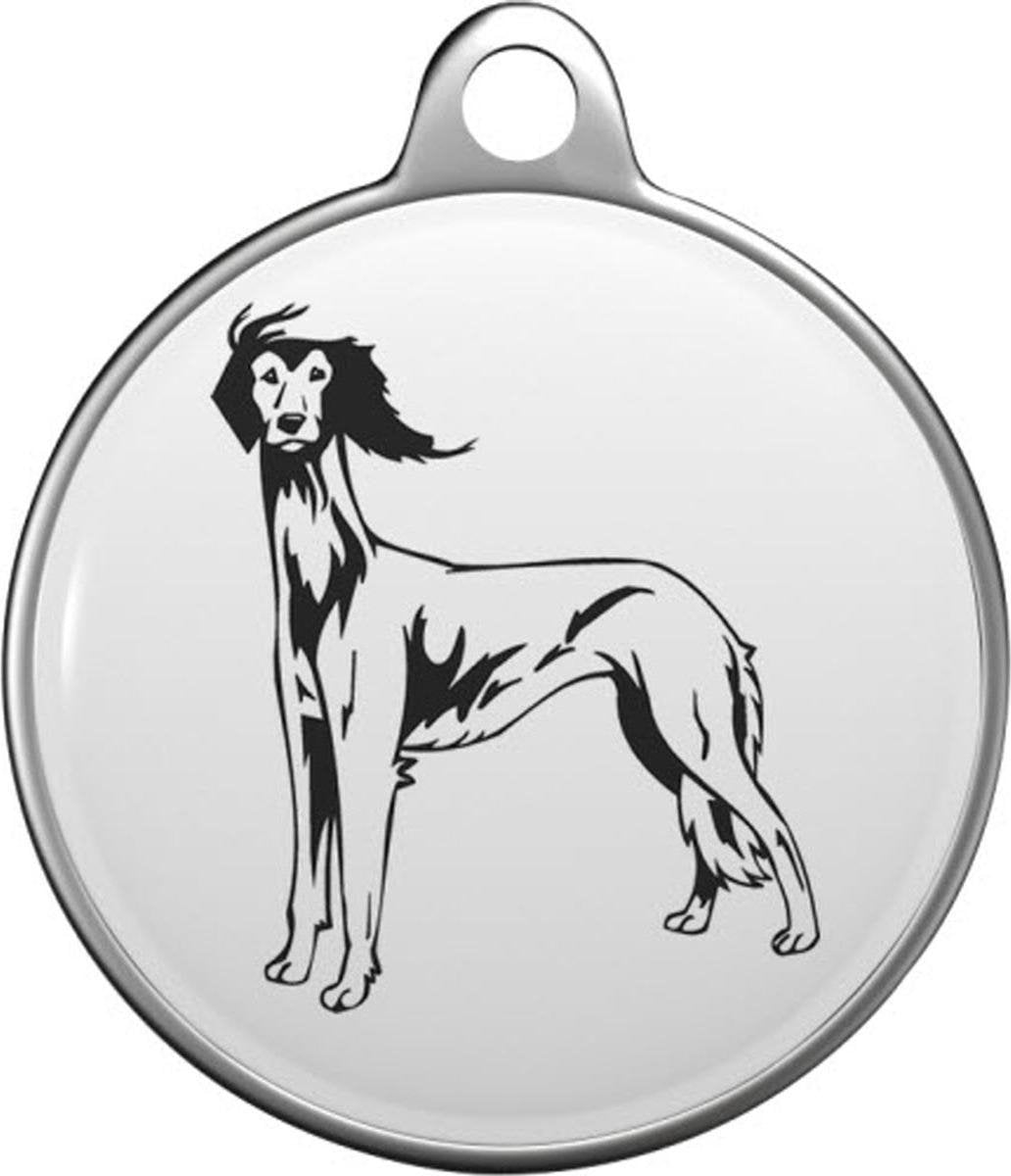 Saluki Tommy Tag S005