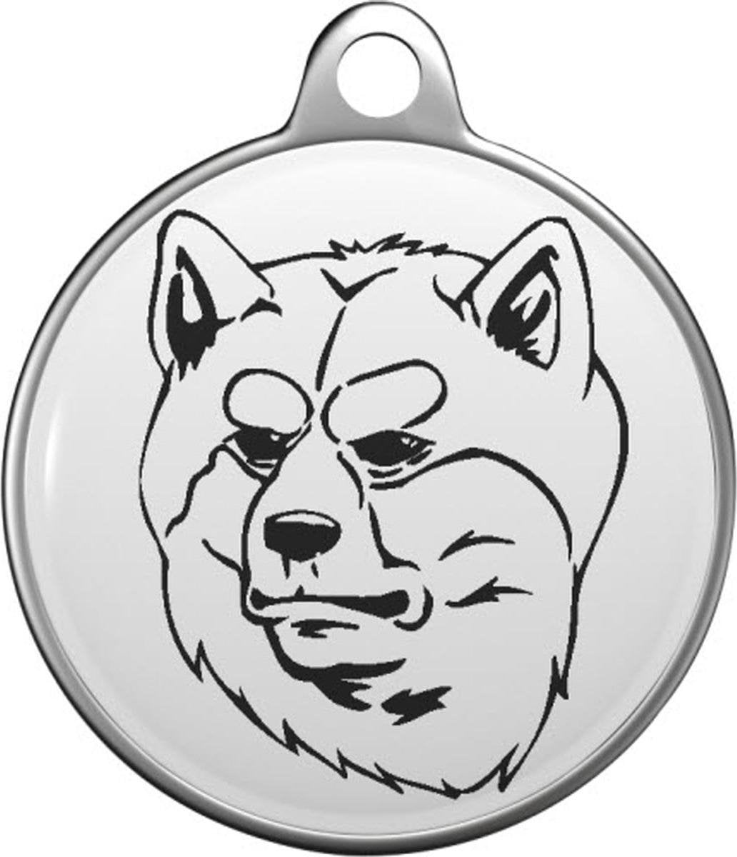 Akita Tommy Tag A006