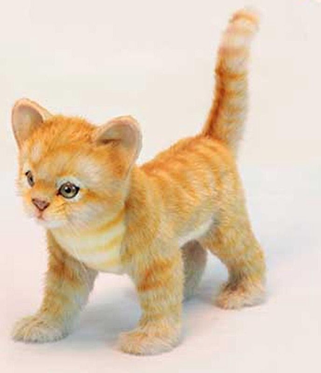 Rode Knuffel Kat