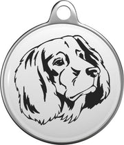 Duitse staande hond langhaar Tommy Tag G004