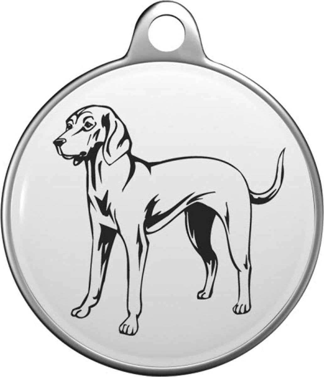 Virginia Foxhound Black and Tan Tommy Tag V001
