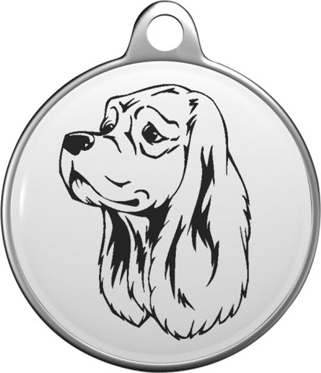 Amerikaanse Cocker Spaniel Tommy Tag A013