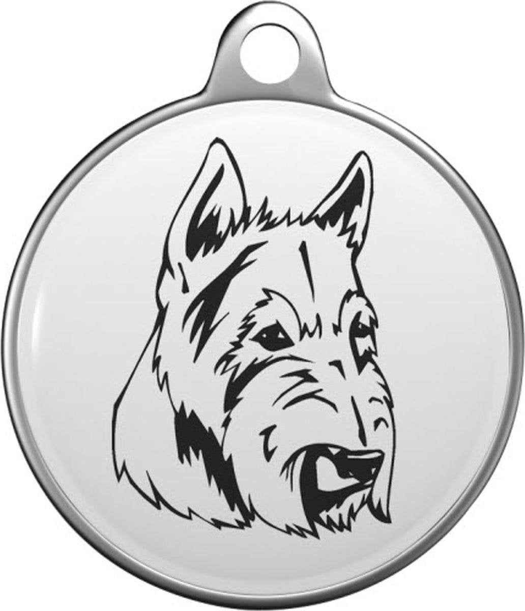 Scottish Terrier Tommy Tag S016