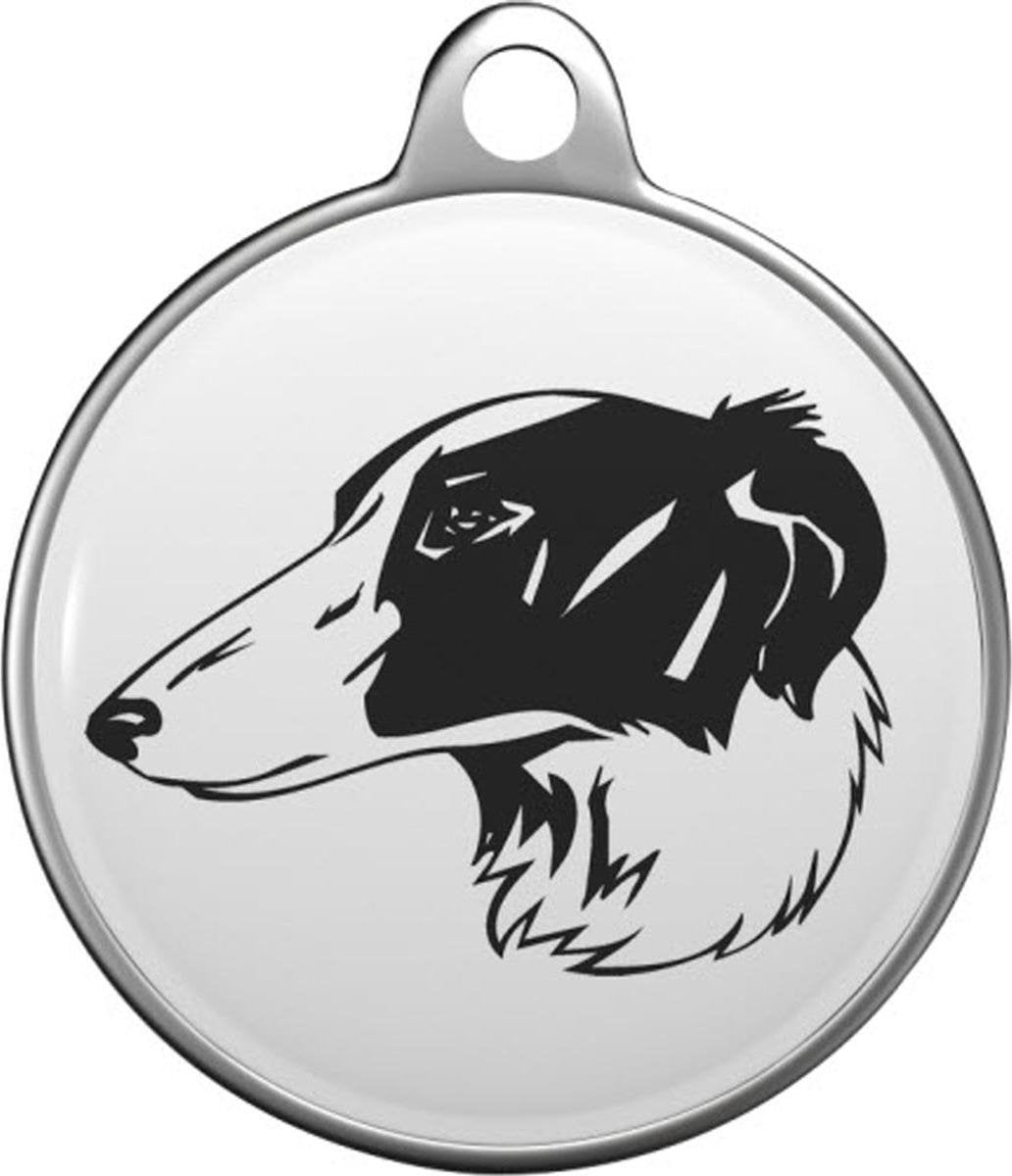 Silken Windhound Tommy Tag S029