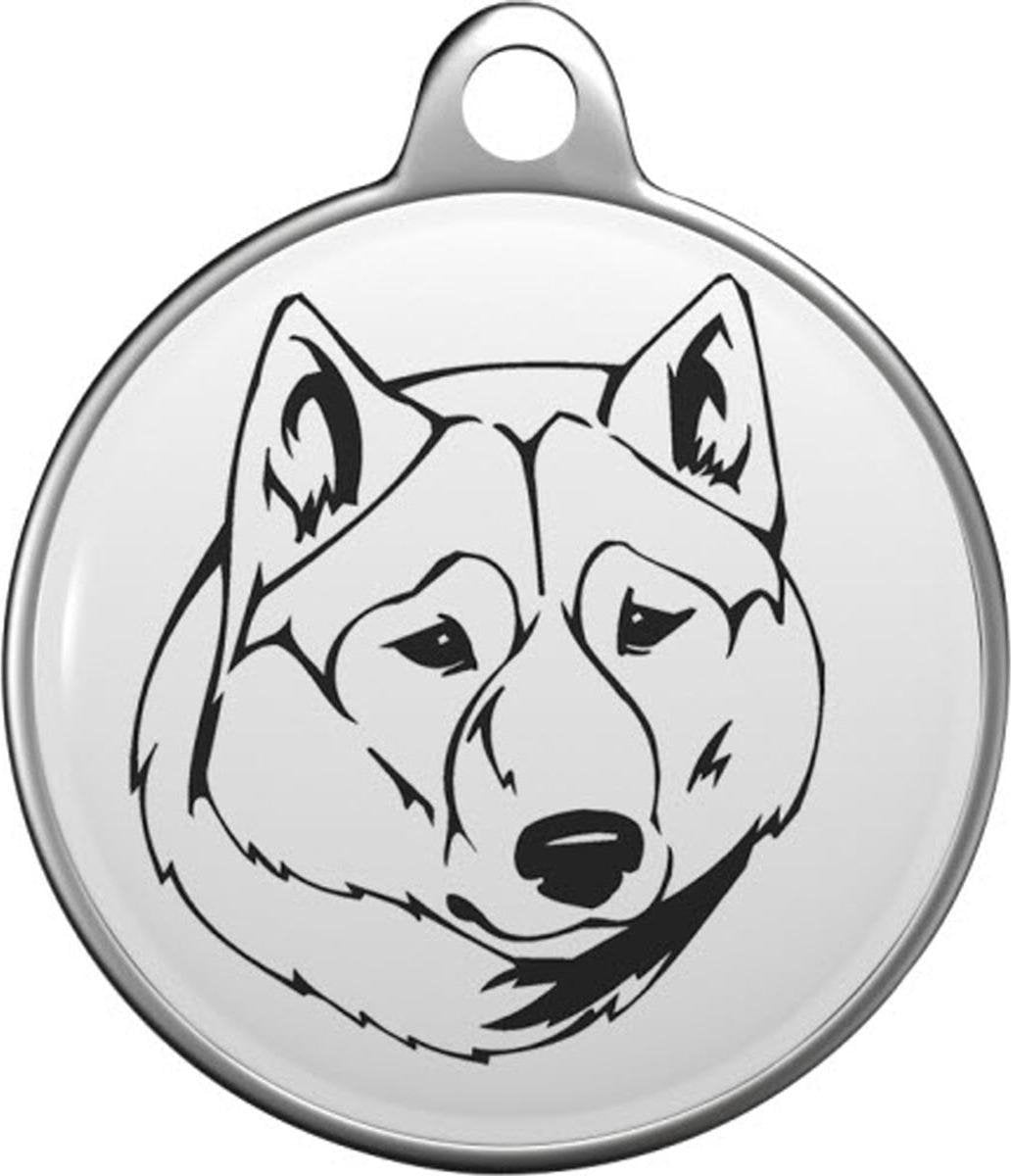 Sakhalin Husky Tommy Tag S004