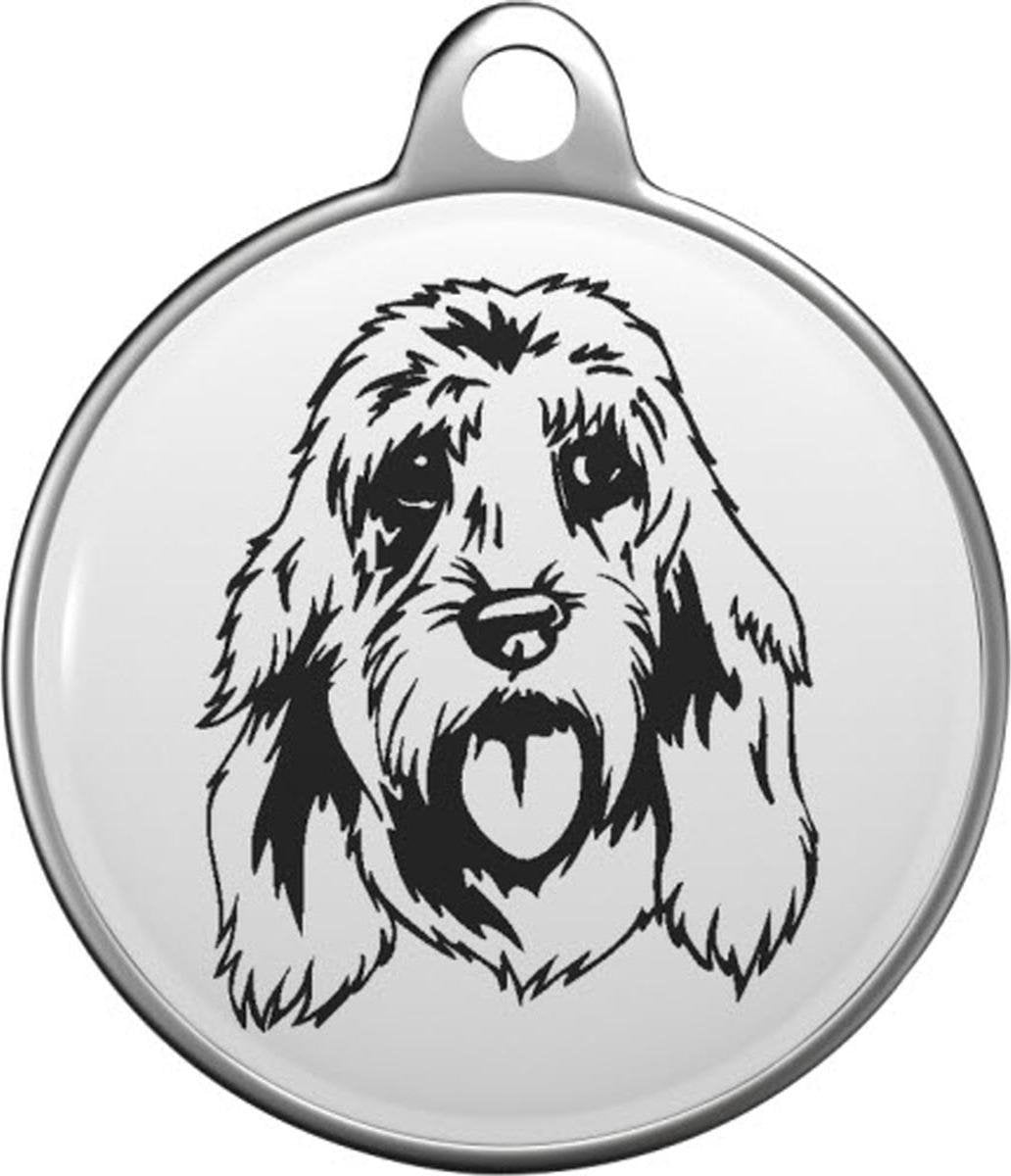 Basset fauve de Bretagne Tommy Tag B007