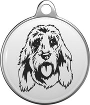 Basset fauve de Bretagne Tommy Tag B007