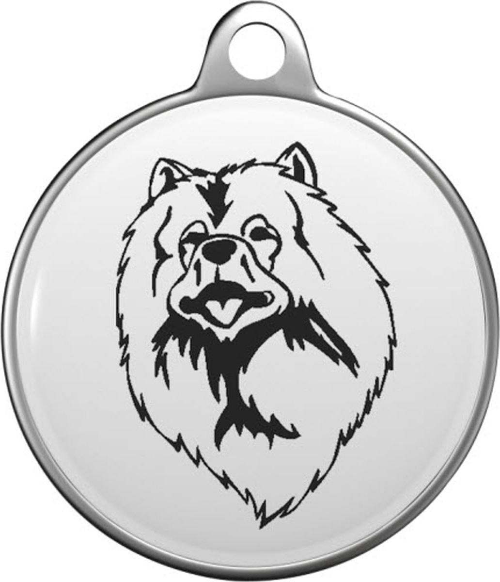 Keeshond Tommy Tag K007