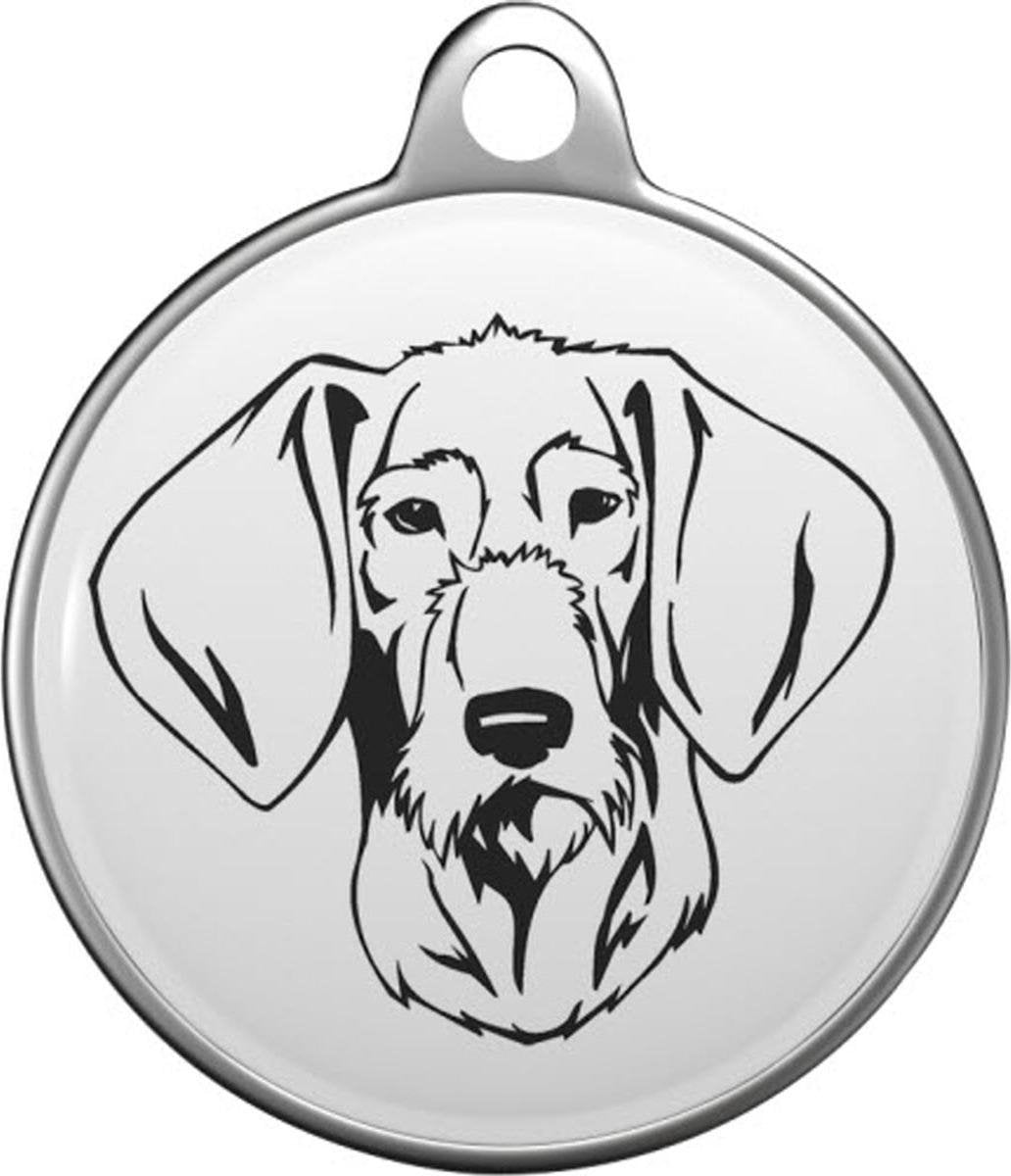 Slowaakse staande hond Tommy Tag S033