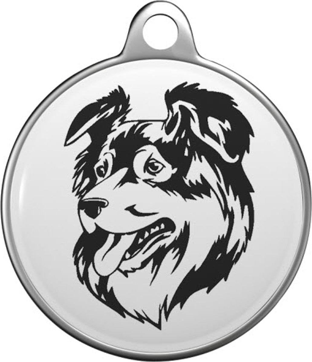 Australische herder Tommy Tag A031