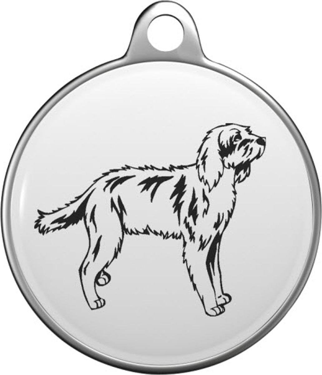 Briquet griffon vendéen Tommy Tag B055