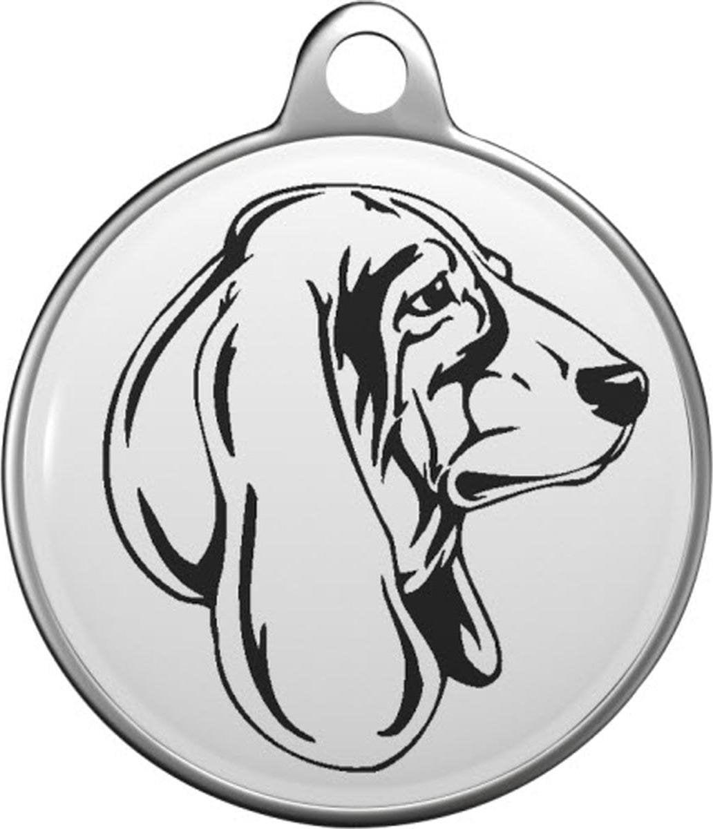 Basset hound  Tommy Tag B010