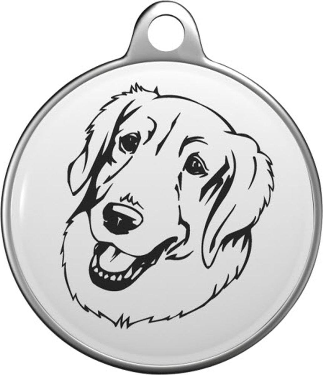 Tatrahond Tommy Tag P020
