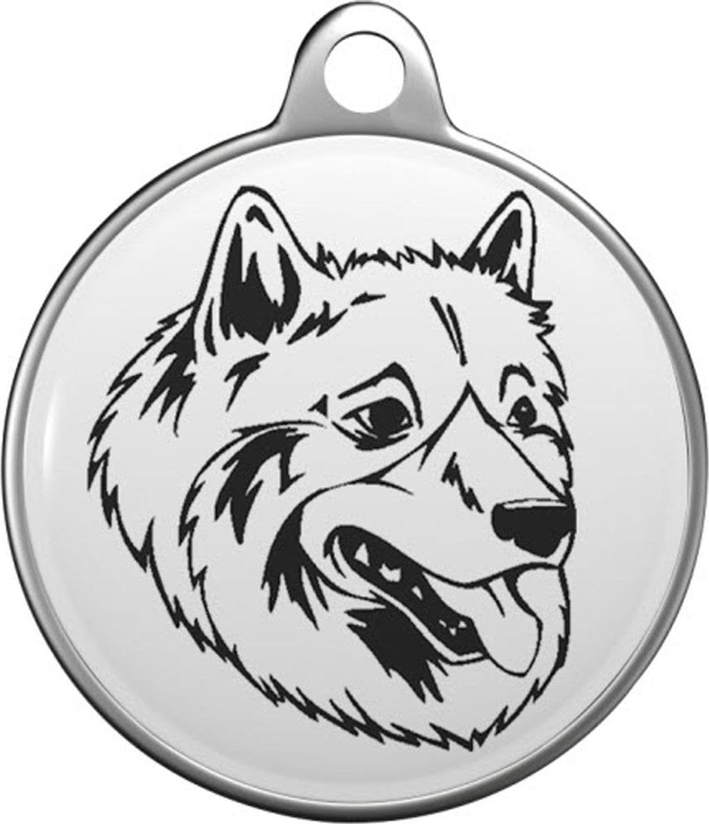 Amerikaanse Eskimo Dog Tommy Tag A014