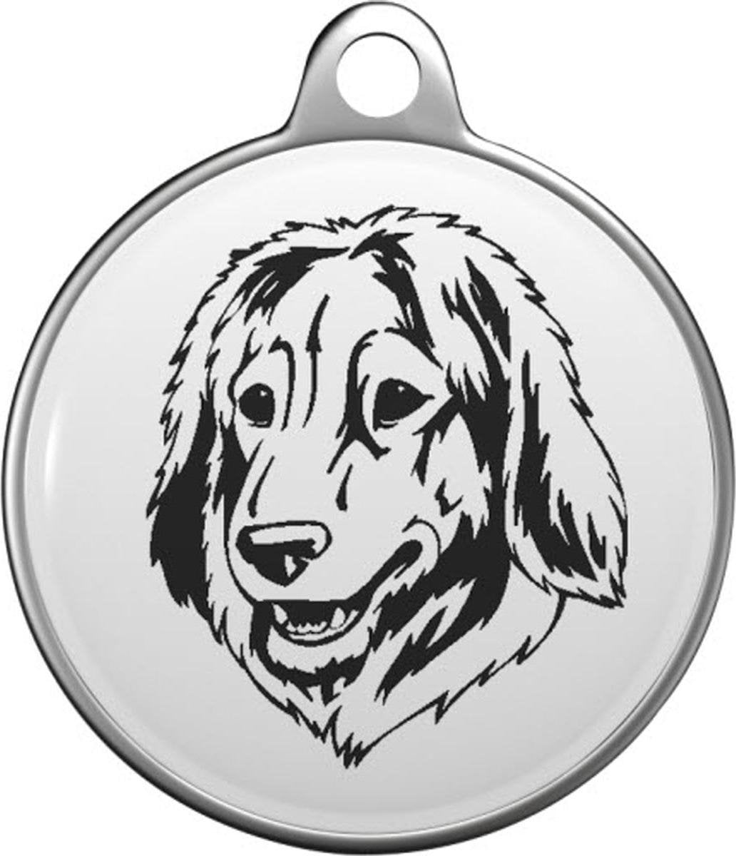 Cão da Serra da Estrela Tommy Tag E014