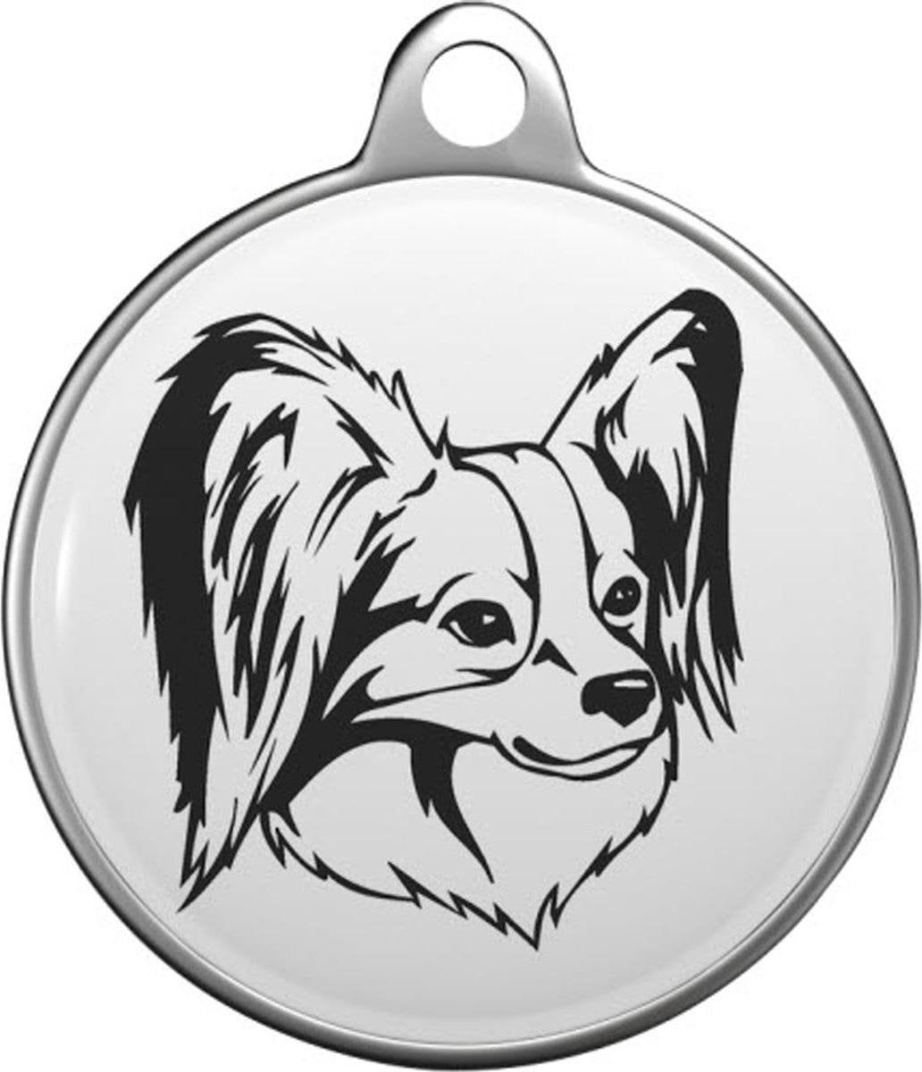 Vlinderhondje Papillon Tommy Tag P002