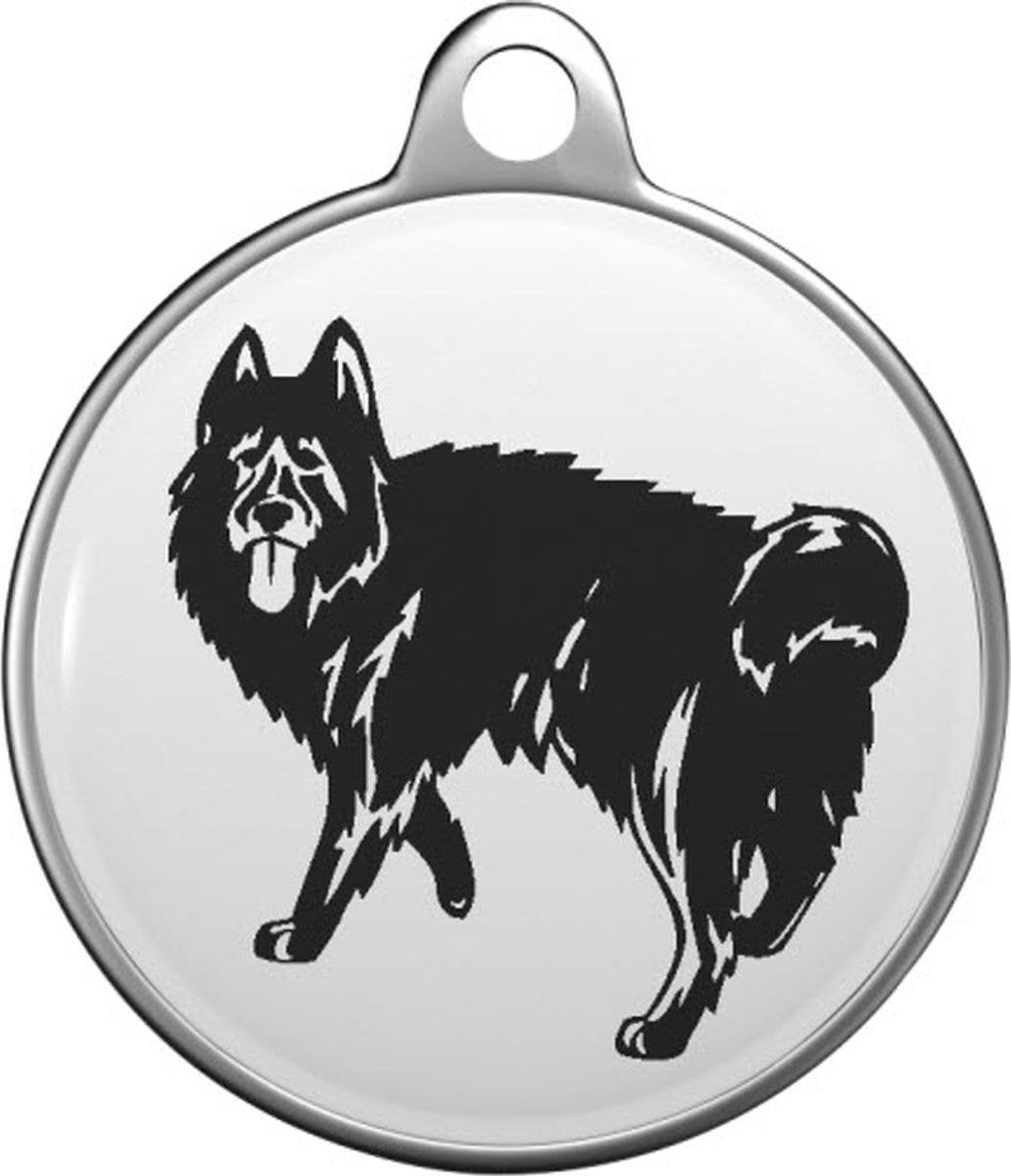 Zwarte Noorse Elkhound Tommy Tag B028