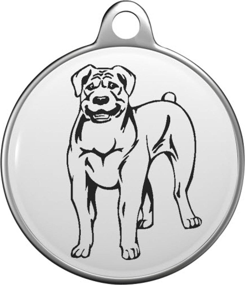 Boerboel Tommy Tag B035