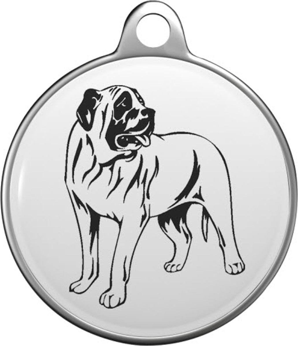 American Mastiff Tommy Tag A017