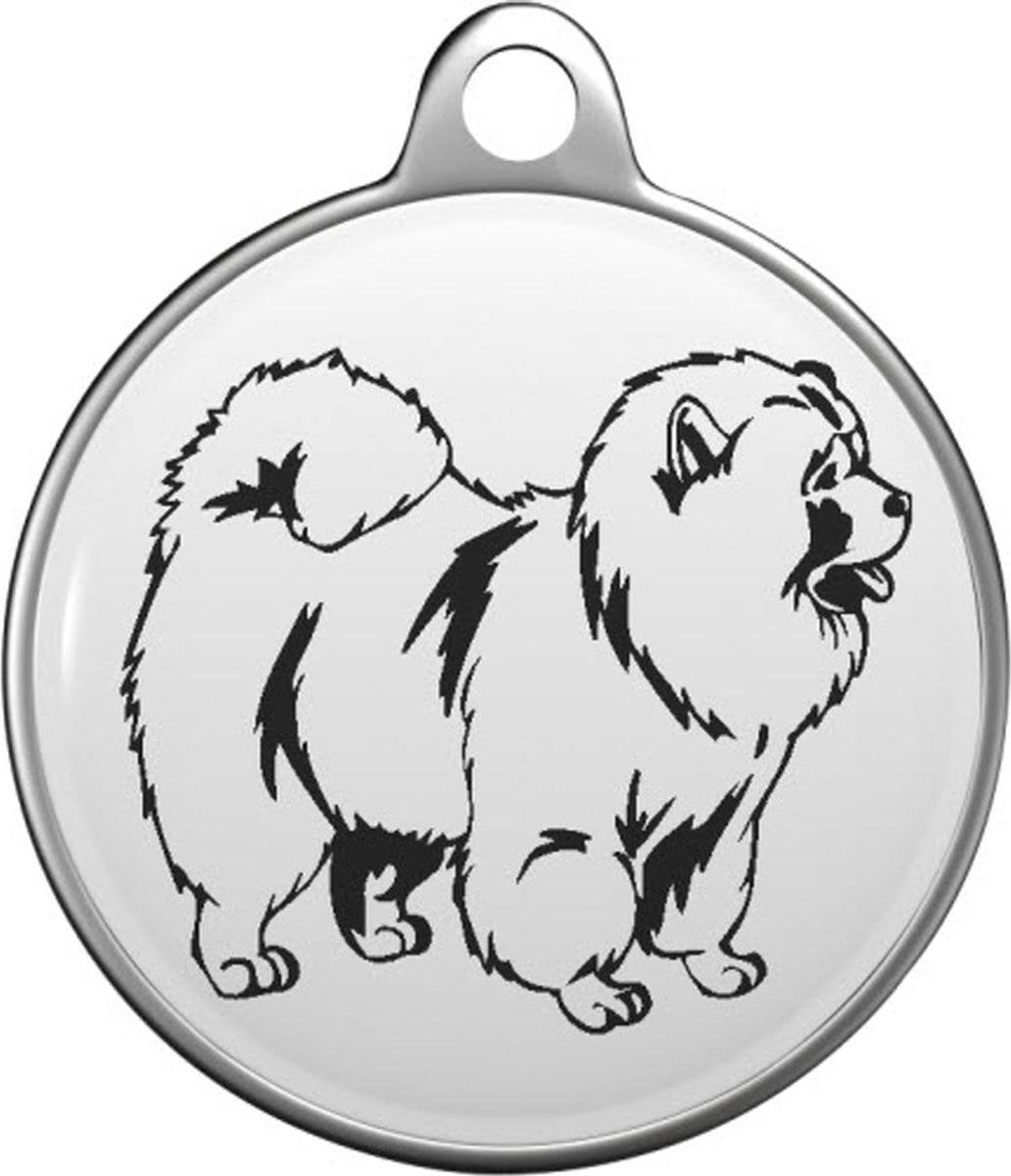 Chow Chow Tommy Tag C026