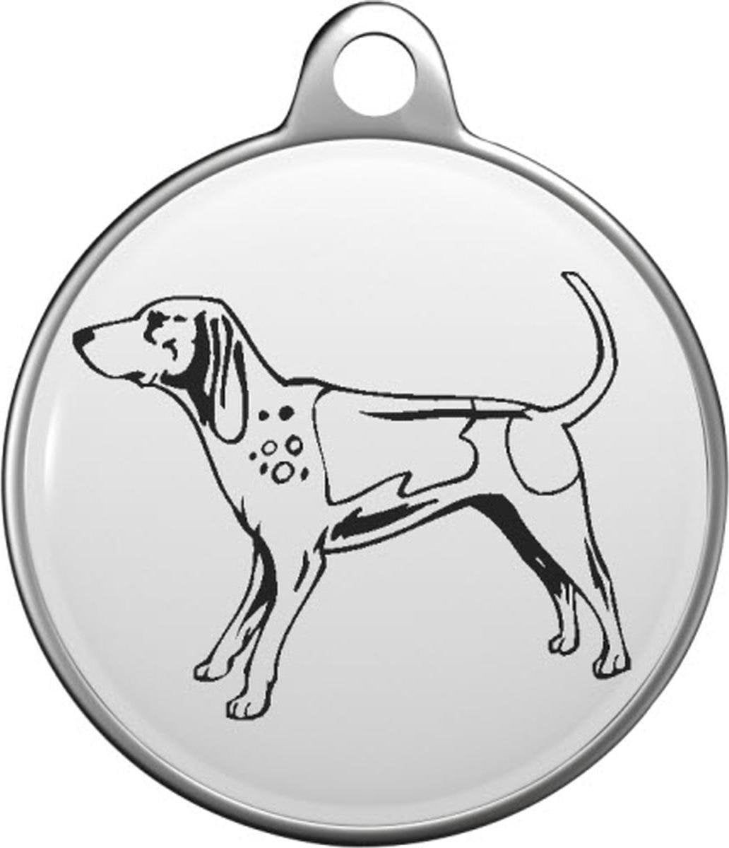 English Coonhound Tommy Tag E005