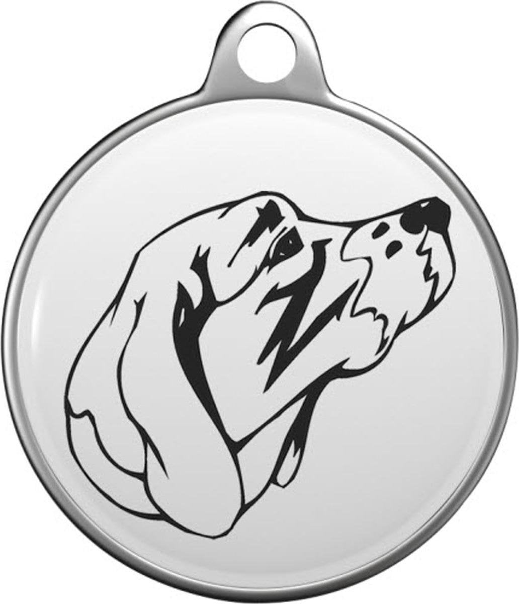 Gammel dansk hønsehund Tommy Tag O002