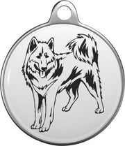 Canadese Eskimohond Tommy Tag C003