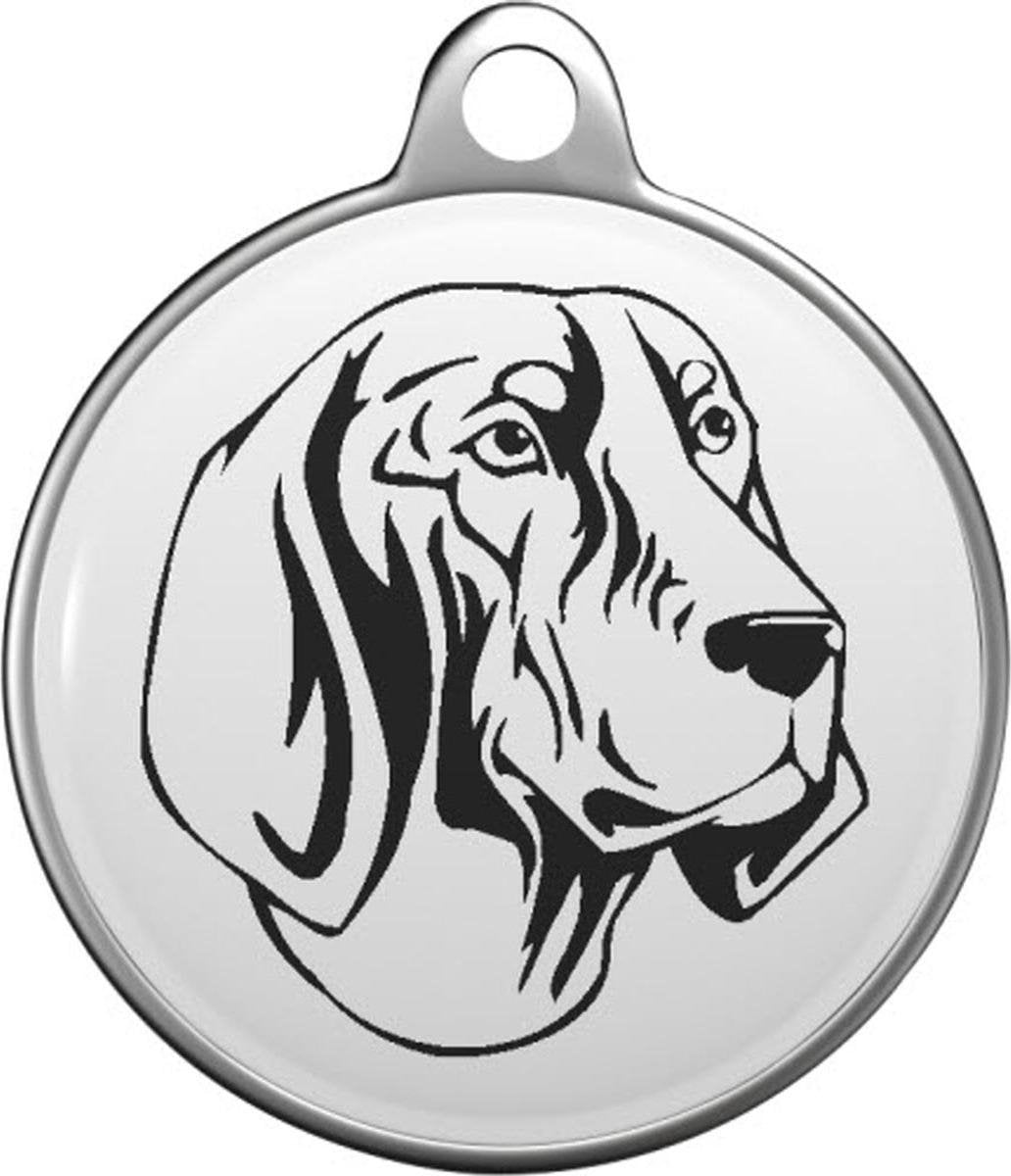 Bluetick Coonhound Tommy Tag B034