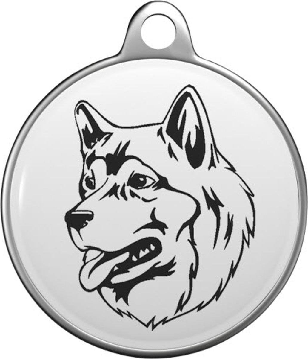 Alaska-Malamute Tommy Tag A008