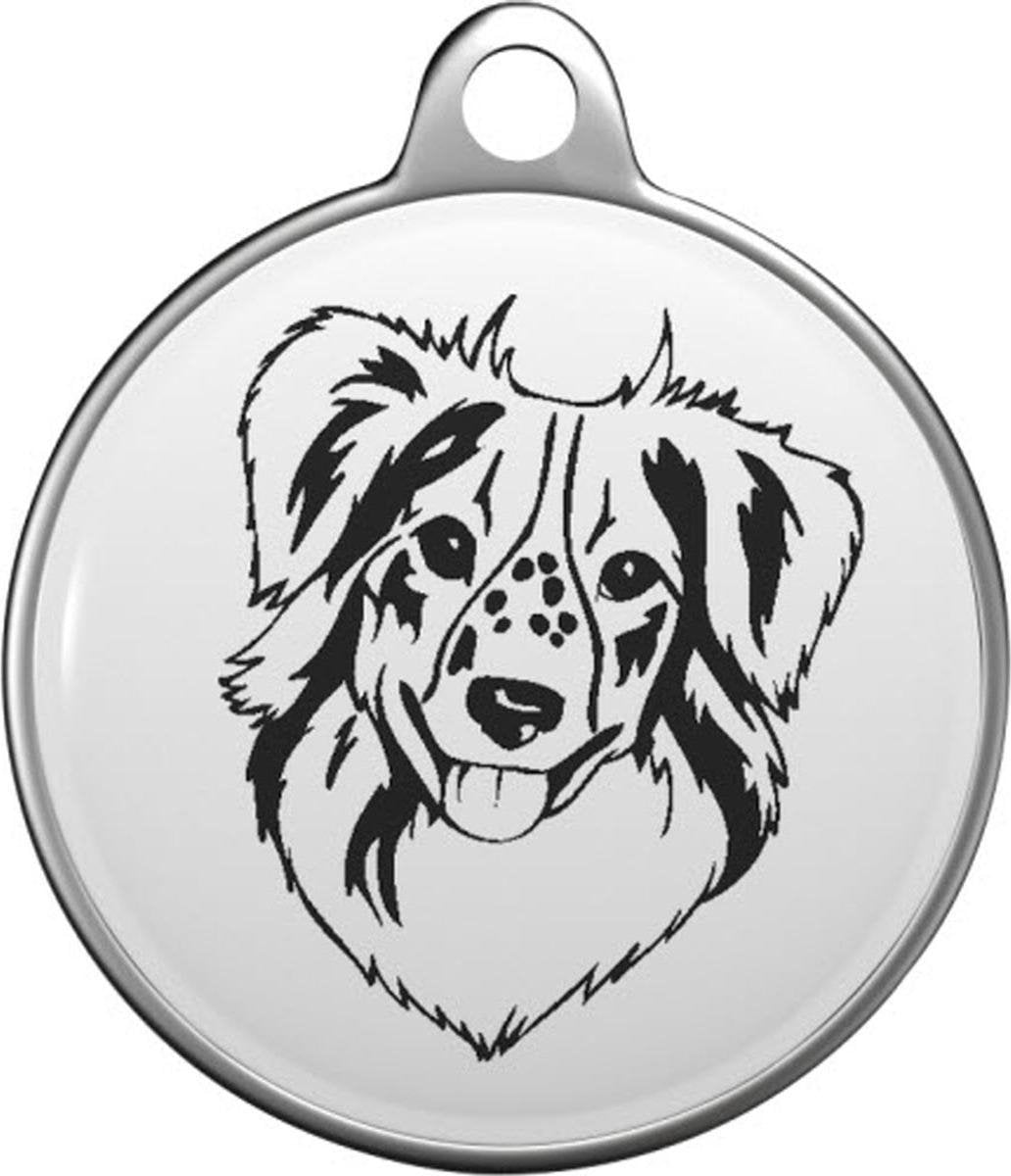 American Shepherd Mini Tommy Tag M007
