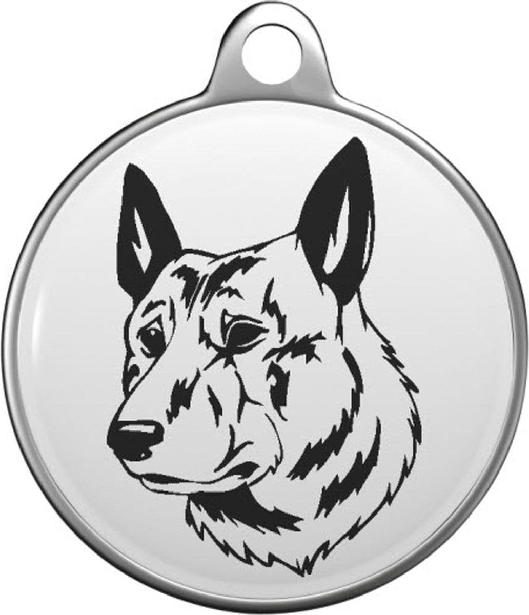 Hollandse Herder Tommy Tag D013
