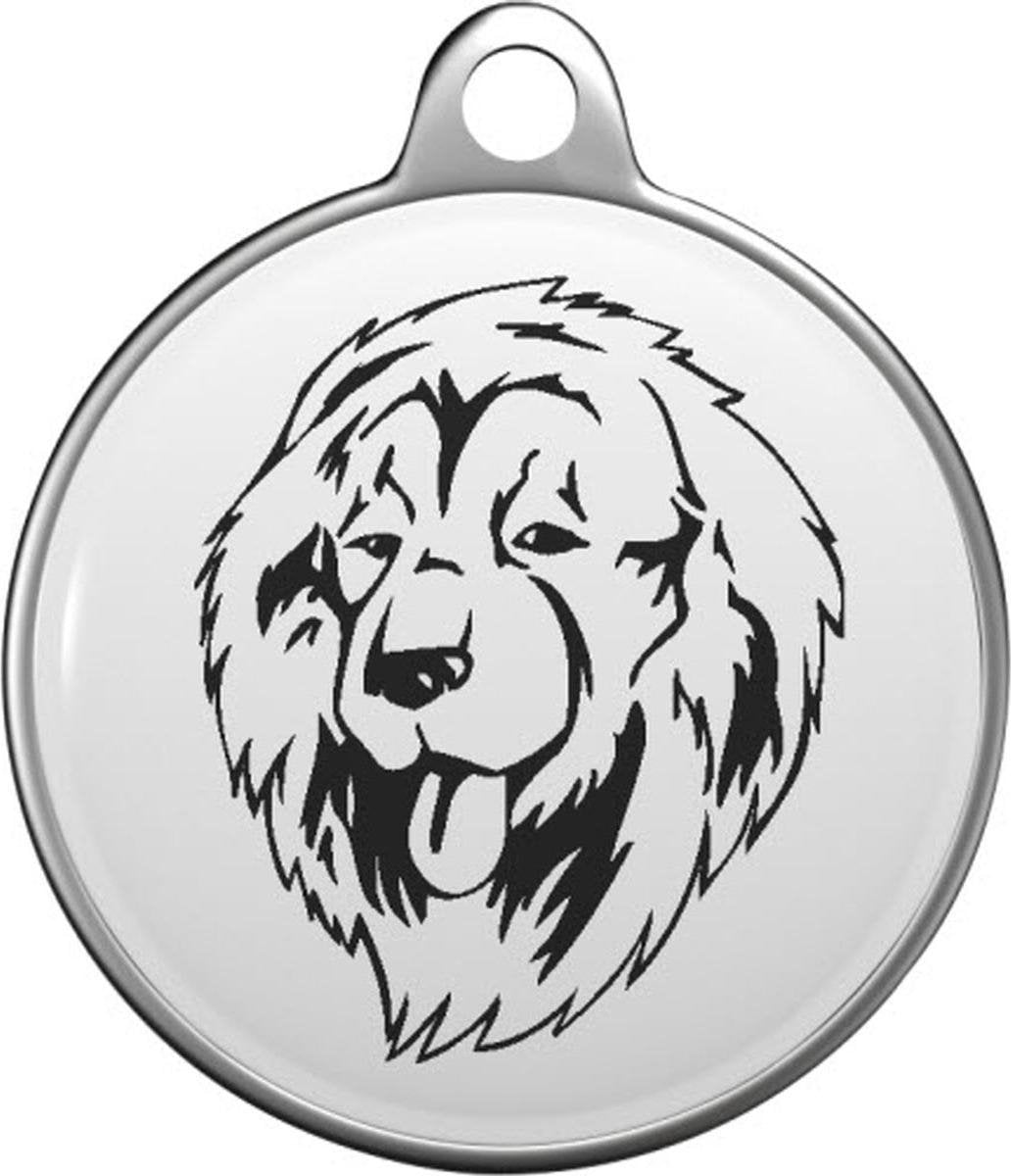 Caucasian Shepherd Tommy Tag C012