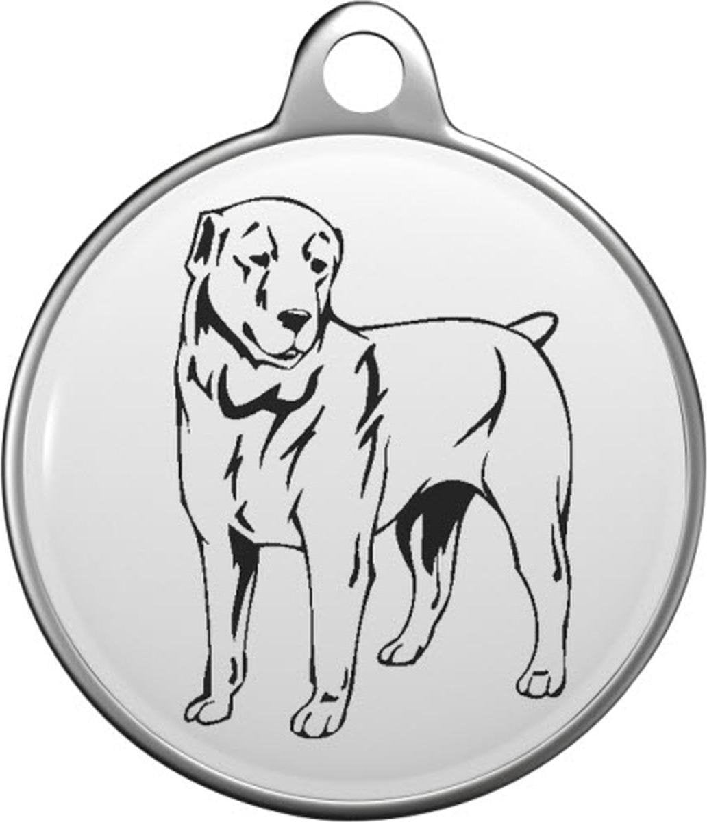 Central Asian Shepherd Tommy Tag C014