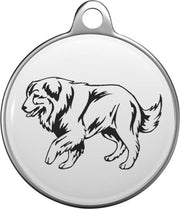 Carpathian Shepherd Tommy Tag C009