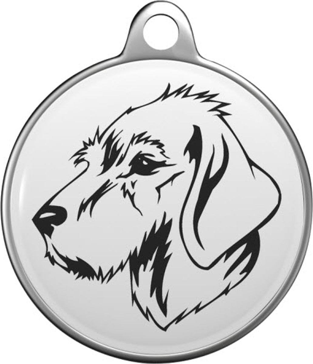 Styrian Coarse-haired Hound Tommy Tag S049