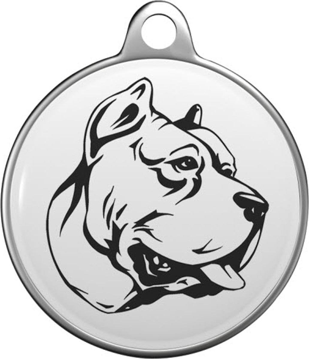 Dogo canario Tommy Tag P006