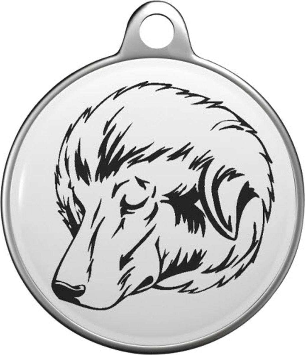 Bakharwal Dog  Tommy Tag B001