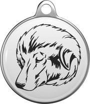 Bakharwal Dog  Tommy Tag B001
