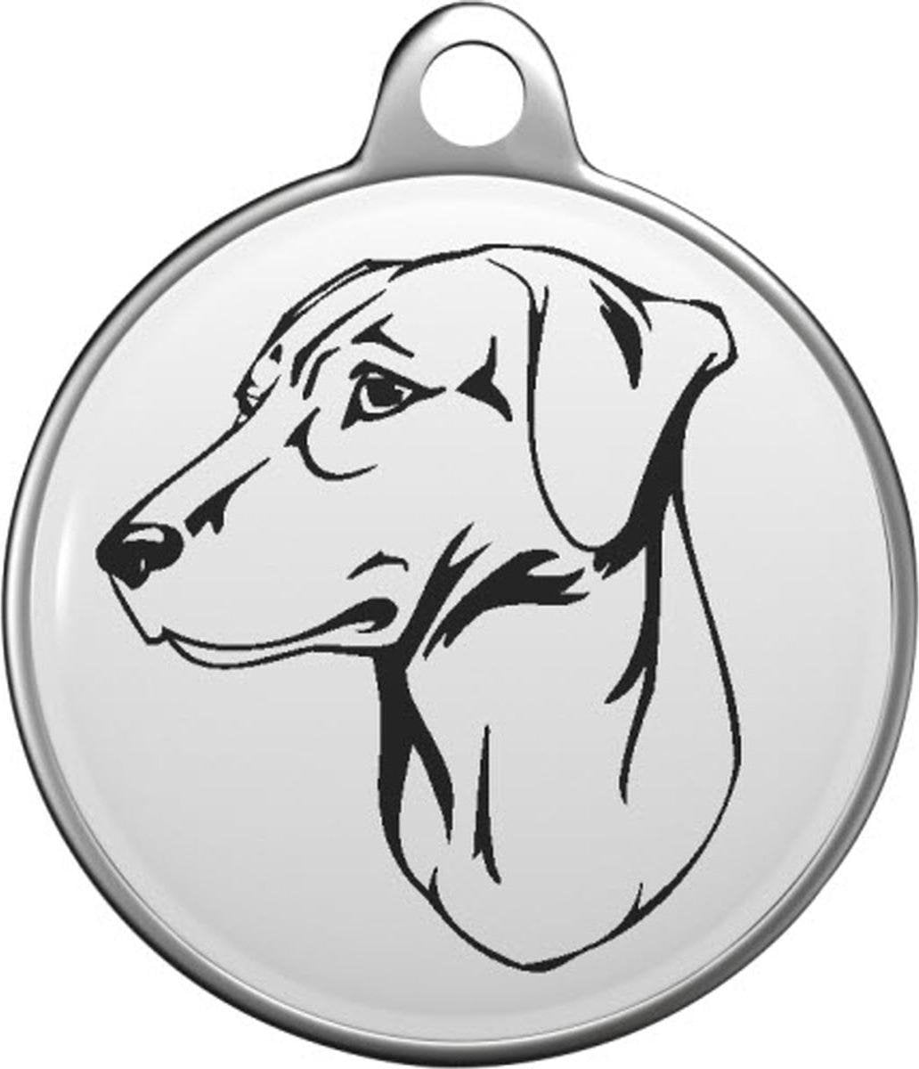 Blue Lacy Tommy Tag B033
